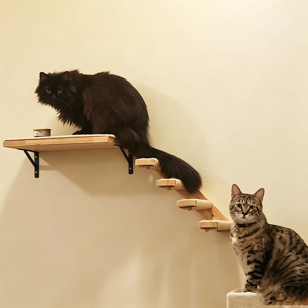 Kattenmeubels Massief Houten H - Furniture Paradise & Hardware Ghaziabad Reviews recensie en prijs