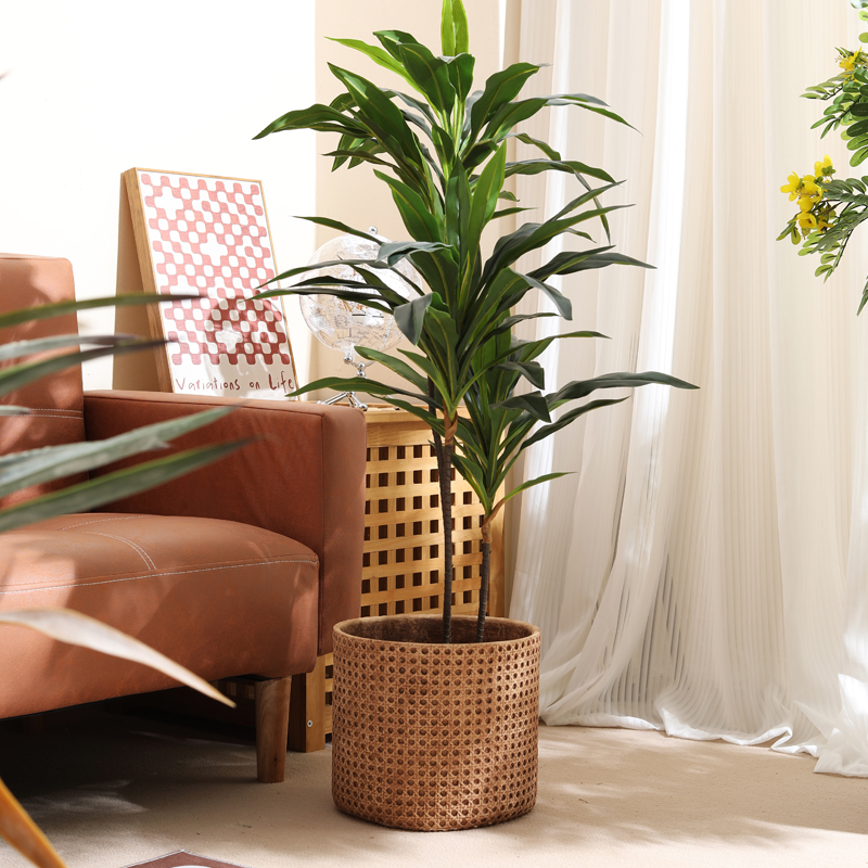 Meubels voor kleine appartemen - Furniture Paradise & Hardware Ghaziabad Reviews recensie en prijs